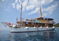 Traditional cruising ship Delija