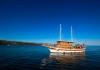 Traditional cruising ship Dalmatinka - wooden motor sailer 1968  rental motor sailer Croatia