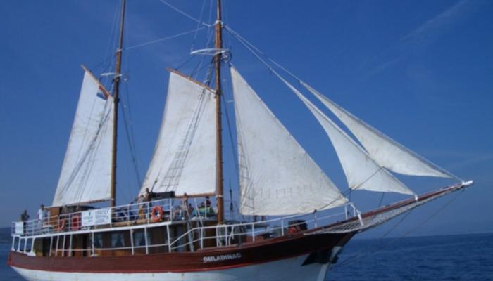 Traditional cruising ship Omladinac