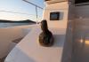 Fountaine Pajot MY6 2023  rental motor boat Croatia