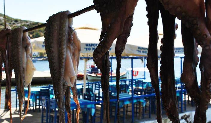 Agia-Kiriaki-Greece, octopuses drying on the sun